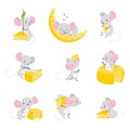 Mouse and cheese. Cute mice eating, funny rats group cartoon characters. Rat sleeping, playing and has various activity