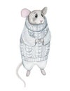 Mouse in clothes