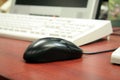 Mouse and computer Royalty Free Stock Photo