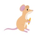 mouse cute illustration