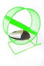 Mouse Exercise Royalty Free Stock Photo