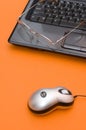 Mouse with Eyeglasses on Laptop