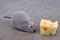 A mouse in front of a piece of cheese