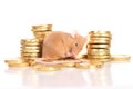 Mouse with golden coins Royalty Free Stock Photo