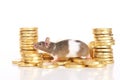 Mouse with golden coins Royalty Free Stock Photo