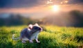 mouse on the grass, AI generated Royalty Free Stock Photo