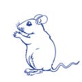 Mouse. Hand drawn vector illustration