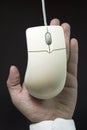 Mouse hanging and hand behind Royalty Free Stock Photo