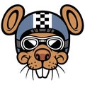 Mouse head rider mascot