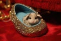 mouse hiding in a fancy slipper with sequins, placed on a red carpet