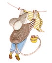 A mouse in a knitted sweater and blue jeans hangs a clothes