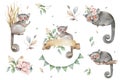 Mouse lemur. Hand drawn cute watercolor cartoon mouse lemur on tree with jungle leaves on white background