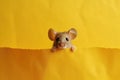 Mouse looking out from yellow paper background, concept of Curiosity