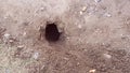 Mouse natural hole