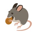 Mouse with nut vector illustration flat Royalty Free Stock Photo