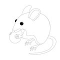 Mouse with nut vector illustration Royalty Free Stock Photo