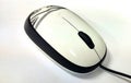 Mouse is part of the computer as input for the execution of commands from the user