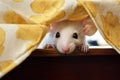 mouse peeping out from under a kitchen table napkin