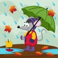 Mouse in rain autumn