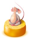 Mouse rat sits on big cheese head in lotus position and meditates