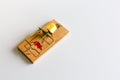 Mouse or rat trap with cheese Royalty Free Stock Photo