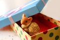 Mouse sits in a gift box.Box with a blue lid and a pink bow A little fluffy rat sits in a festive gift box.Symbol of Rat 2020. Royalty Free Stock Photo