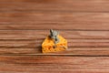 Mouse sitting in the cheese on the background of wooden boards. Royalty Free Stock Photo