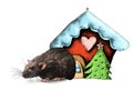 Mouse sitting in full next to rag toy Christmas house Royalty Free Stock Photo