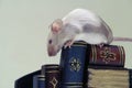 The mouse on the stack of books.