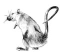 Mouse standing on its hind legs full length turned sideways