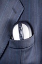 Mouse in suit pocket Royalty Free Stock Photo