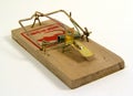 Mouse Trap