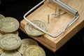 Mouse Trap Catches a British Pound Coin Royalty Free Stock Photo