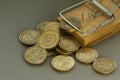 Mouse Trap Catches a British Pound Coin Royalty Free Stock Photo