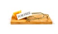Mouse trap cheese Royalty Free Stock Photo