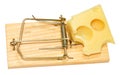 Mouse Trap And Cheese Royalty Free Stock Photo