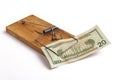 Mouse Trap and a Dollar Royalty Free Stock Photo