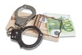 Mouse trap, handcuffs and Euro money Royalty Free Stock Photo