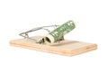 A mouse trap with money Royalty Free Stock Photo