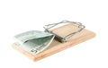 A mouse trap with money Royalty Free Stock Photo