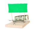 A mouse trap with money Royalty Free Stock Photo