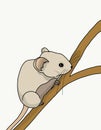 Mouse on a tree.