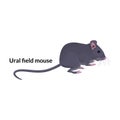 Mouse vector icon.Cartoon vector icon isolated on white background mouse. Royalty Free Stock Photo