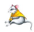 Mouse wearing yellow shawl