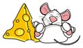 Mouse white sleeping near a piece of cheese