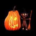 Mouse Witch with Jack O Lanter Royalty Free Stock Photo