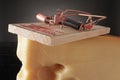 Mousetrap atop a large wedge of cheese Royalty Free Stock Photo