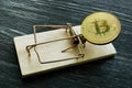 Mousetrap and bitcoin coin. Cryptocurrency scam or fraud concept.