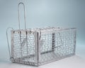 The mousetrap cage. Rat problem in city concept Royalty Free Stock Photo