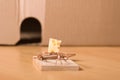 Mousetrap and cheese Royalty Free Stock Photo